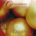 Twelve Psalm Arrangements